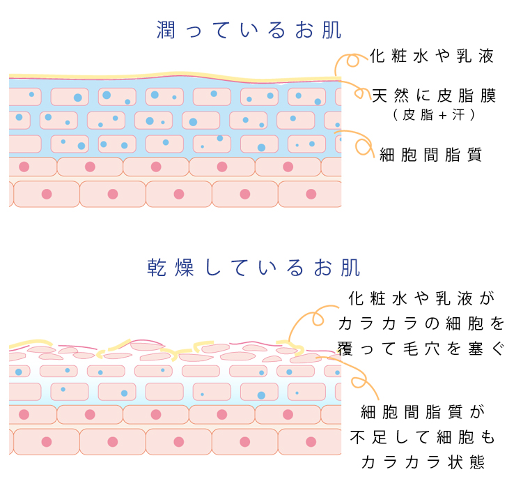 乾燥肌の原因とは？