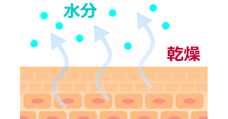 肌のうるおいがなくなると…